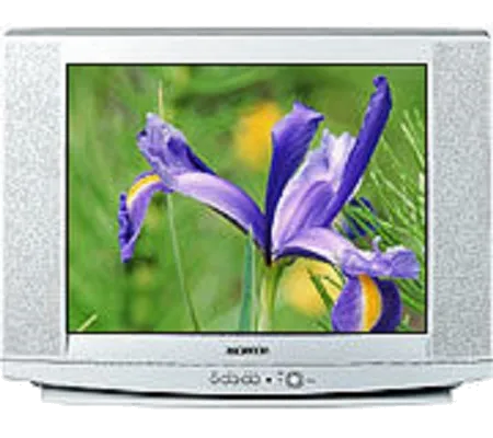 Замена контроллера Samsung CS-29U2 R