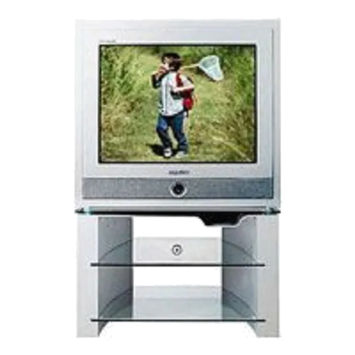 Замена контроллера Samsung CS-29Z6HPQ