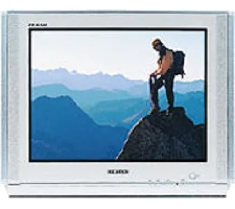 Замена контроллера Samsung CS-29M6 WTQ